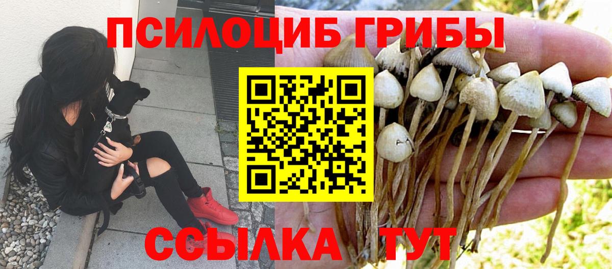 Галлюциногенные грибы ЛСД Мурино